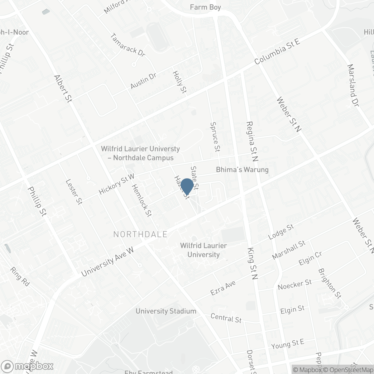 262 HAZEL STREET, Waterloo, Ontario N2L 3N9